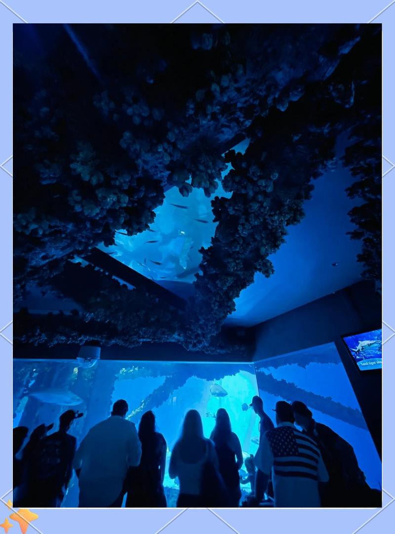 德州水族店，德州水族店哪家好 德州水族店，德州水族店哪家好 全國水族館企業(yè)名錄 第2張