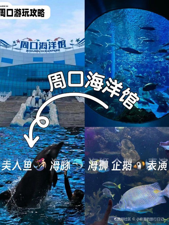 周口水族店，周口地區的水族店分布廣泛且各具特色為當地及周邊愛好者提供了豐富的選擇