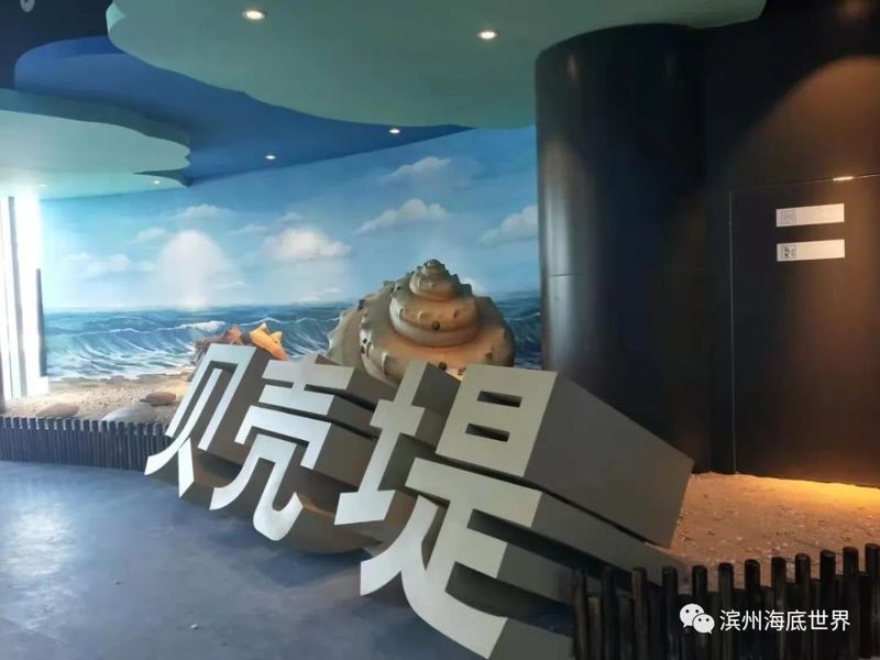 濱州水族店，濱州水族店綜合信息整理非凡水族私人訂制體驗中心