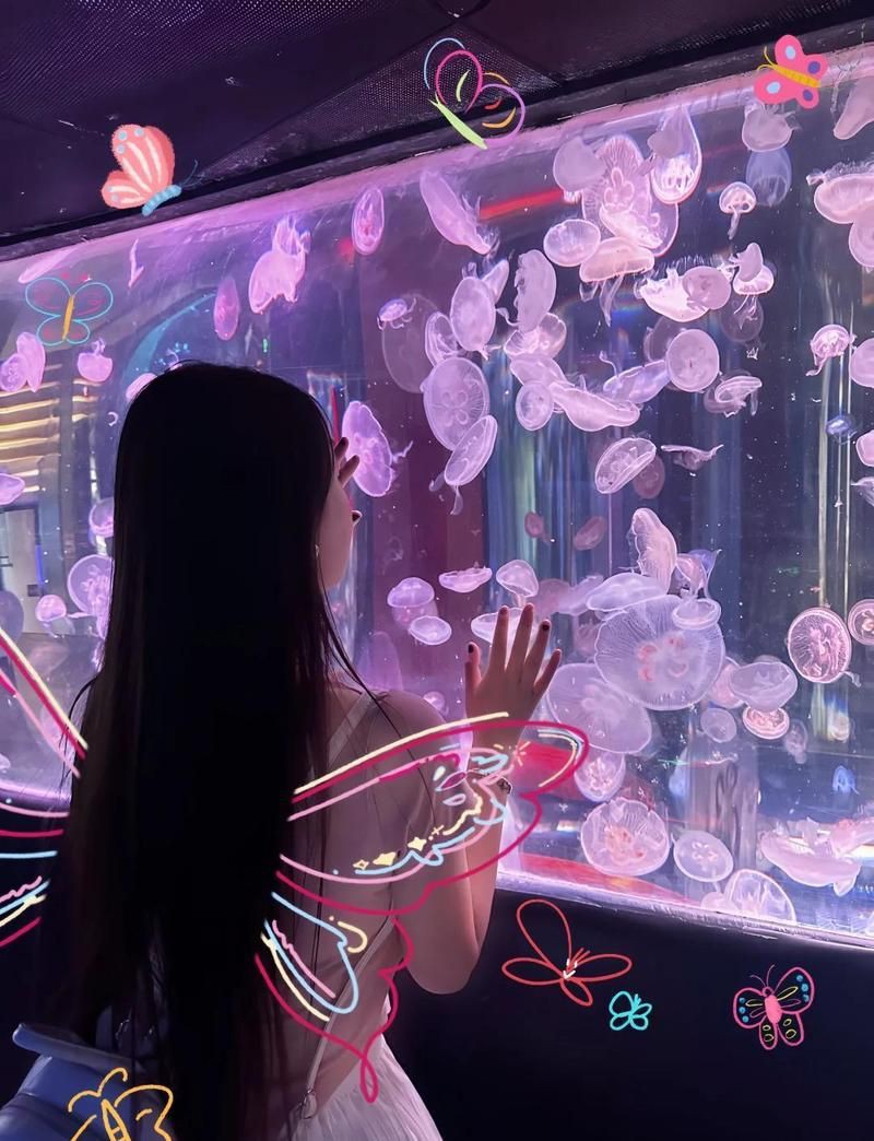 濱州水族店,濱州水族店綜合信息整理非凡水族私人訂制體驗中心 全國水族館企業名錄 第5張 濱州水族店,濱州水族店綜合信息整理非凡水族私人訂制體驗中心 濱州水族店,濱州水族店綜合信息整理非凡水族私人訂制體驗中心 全國水族館企業名錄 第5張