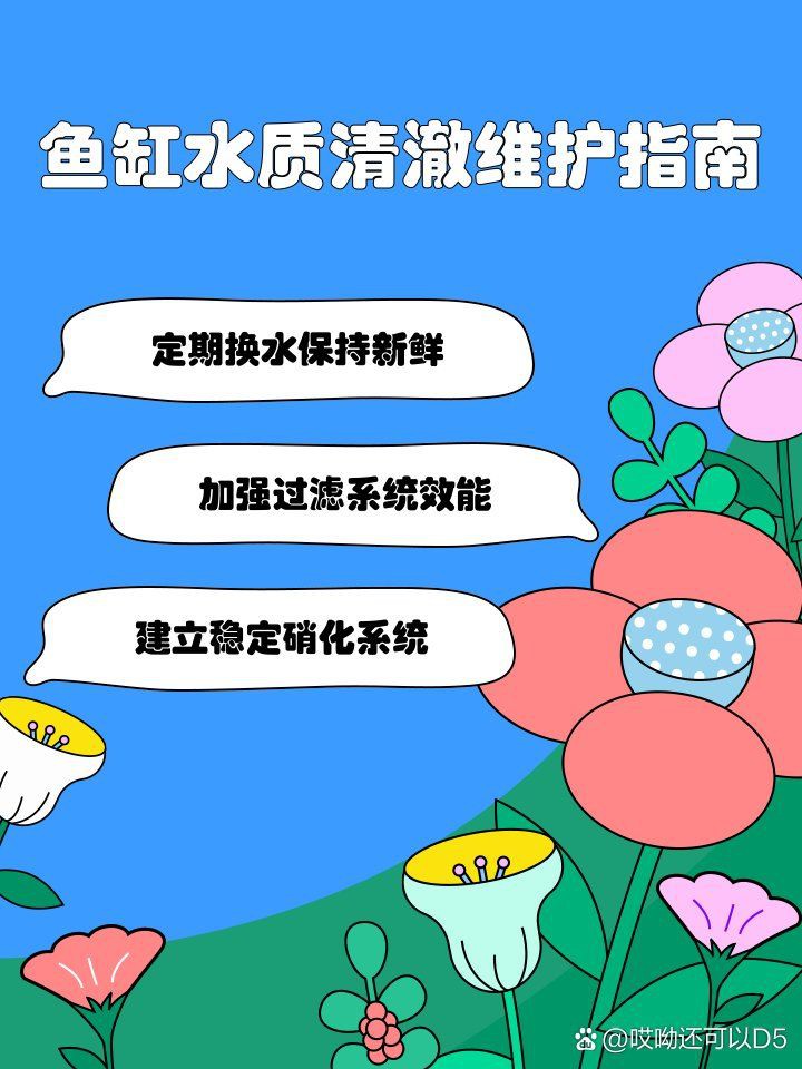 郴州魚缸維護，郴州地區(qū)的魚缸科學維護全攻略