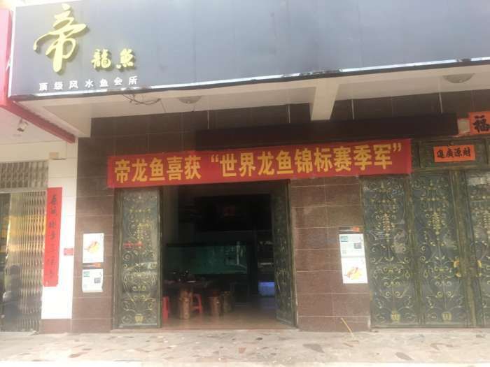 陽江龍魚店，陽江龍魚文化探微
