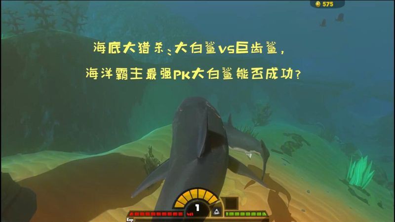 鋸鰩殺大白鯊魚視頻，海底大獵殺:鋸鰩與大白鯊的對抗尚未發(fā)現(xiàn)直接記錄兩者搏殺 鋸鰩殺大白鯊魚視頻，海底大獵殺:鋸鰩與大白鯊的對抗尚未發(fā)現(xiàn)直接記錄兩者搏殺 龍魚百科 第7張
