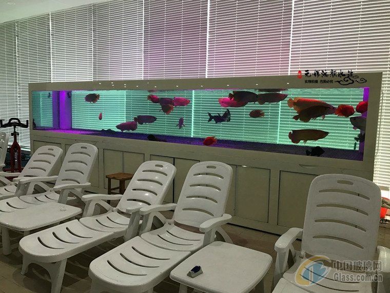 鎮江魚缸定做，鎮江地區魚缸定做服務豐富多樣，滿足不同場景需求