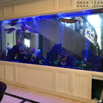 鎮江魚缸定做，鎮江地區魚缸定做服務豐富多樣，滿足不同場景需求