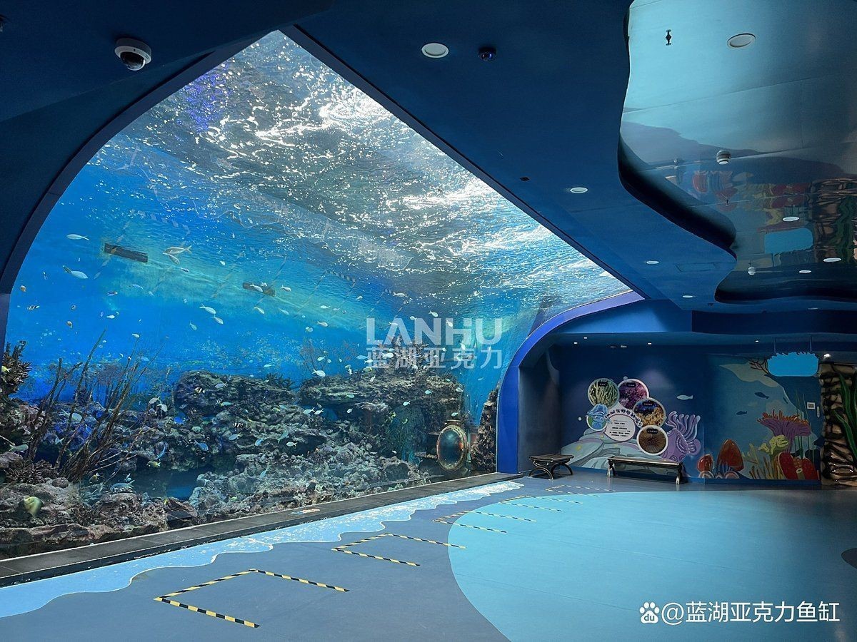鎮江魚缸定做，鎮江地區魚缸定做服務豐富多樣，滿足不同場景需求