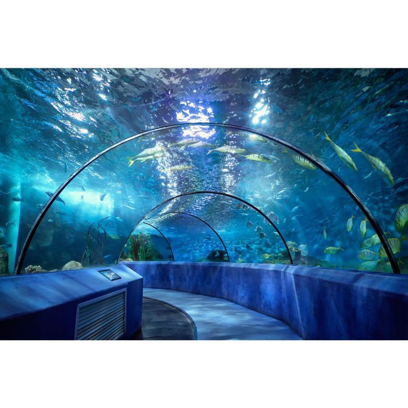 南京水族批發市場，南京水族批發市場是當地重要的水產品集散地是當地重要的水產品集散地