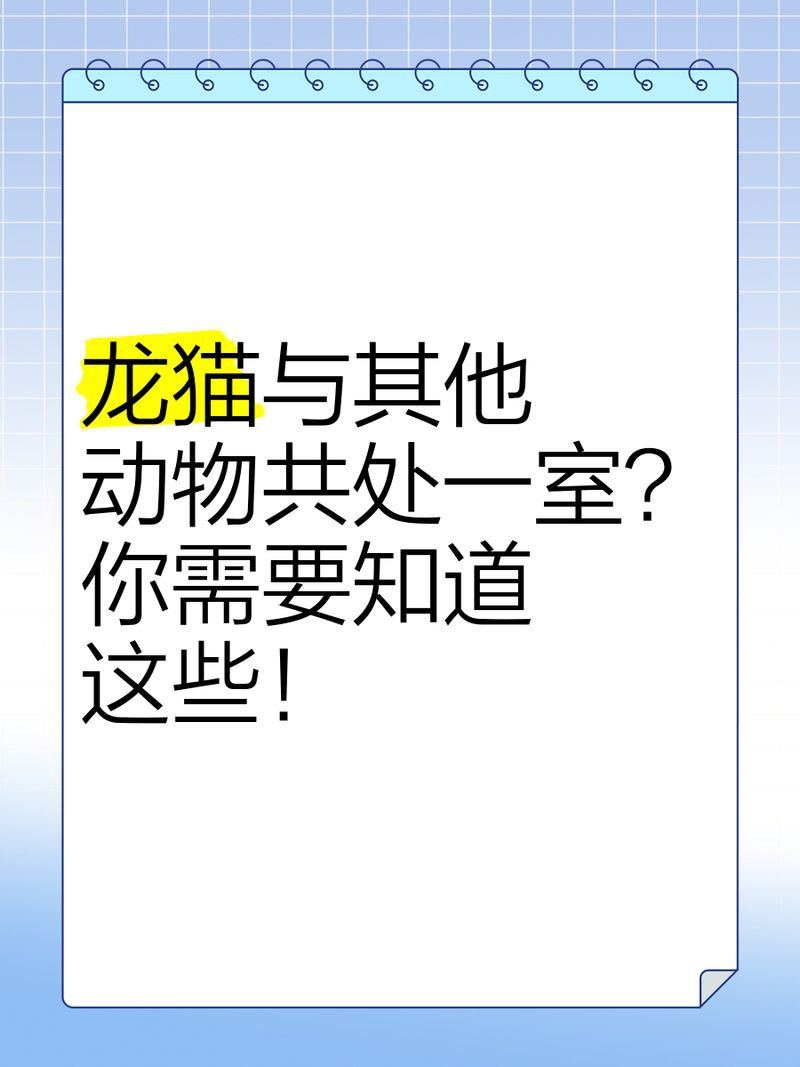 貓會傷害龍貓嗎，關于龍貓的一些問題 貓會傷害龍貓嗎，關于龍貓的一些問題 龍魚百科 第5張
