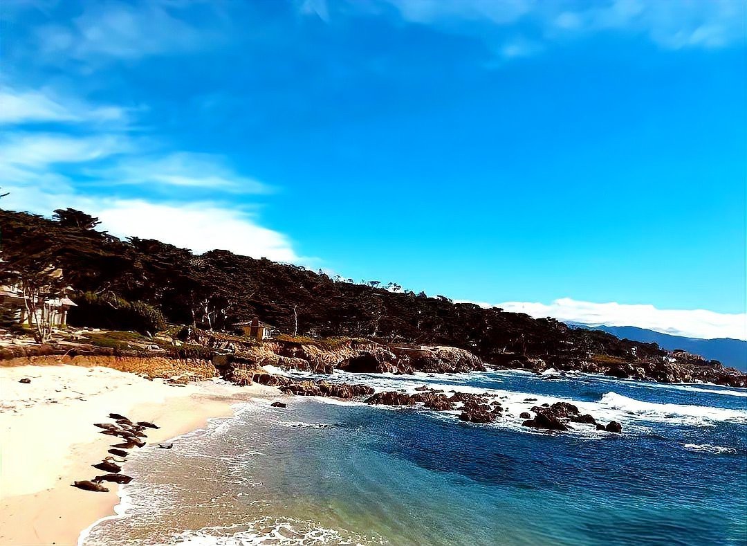 世界十大漁場產量排名，2025年全球十大漁業資源分布不均，亞洲國家占據主導地位