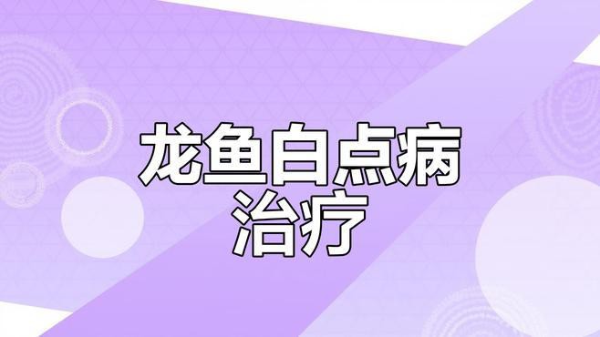 如何判斷龍魚是否得了白點病，龍魚白點病原因及治療方法全解析