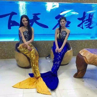 海口魚缸店,海口多家水族店的綜合介紹 全國(guó)水族館企業(yè)名錄 第6張 海口魚缸店,海口多家水族店的綜合介紹 海口魚缸店,海口多家水族店的綜合介紹 全國(guó)水族館企業(yè)名錄 第6張