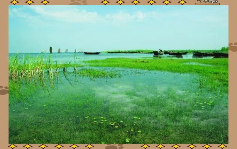 宿遷水族館，宿遷水族館游記