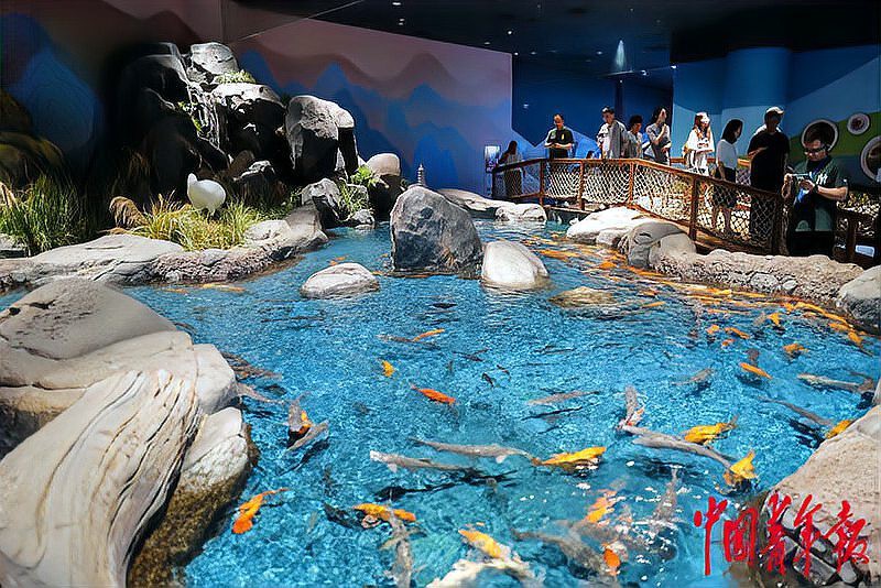 封開水族店，封開水族科普館