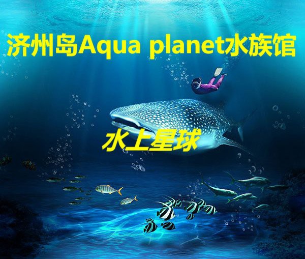 封開水族店，封開水族科普館