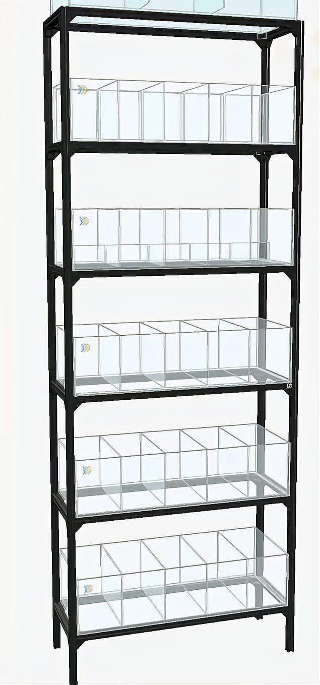 德陽魚缸定做，德陽地區(qū)的魚缸定做服務(wù)展現(xiàn)出多樣化與專業(yè)化的特點(diǎn)