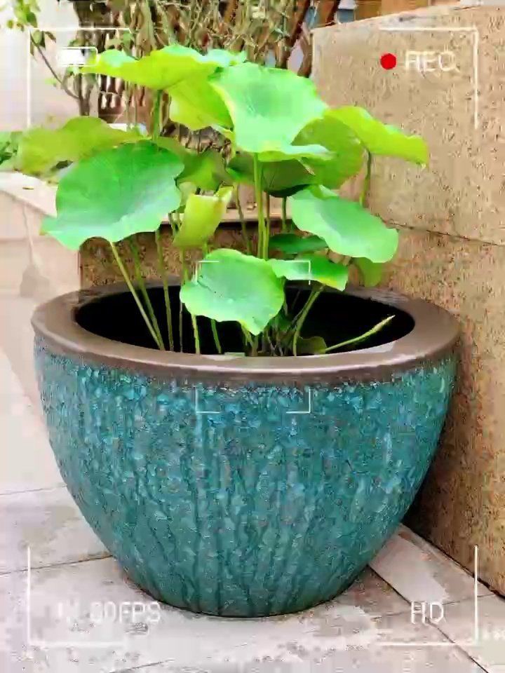 景德鎮魚缸批發市場,景德鎮陶瓷魚缸什么品牌質量好景德鎮陶瓷魚缸批發大市場作文 全國水族館企業名錄 第3張 景德鎮魚缸批發市場,景德鎮陶瓷魚缸什么品牌質量好景德鎮陶瓷魚缸批發大市場作文 景德鎮魚缸批發市場,景德鎮陶瓷魚缸什么品牌質量好景德鎮陶瓷魚缸批發大市場作文 全國水族館企業名錄 第3張