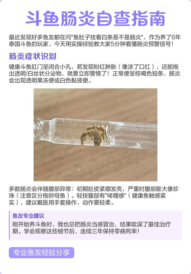 如何判斷龍魚肛門鼓起是否嚴重？，如何判斷龍魚肛門鼓起的嚴重程度 如何判斷龍魚肛門鼓起是否嚴重？，如何判斷龍魚肛門鼓起的嚴重程度 龍魚百科 第3張