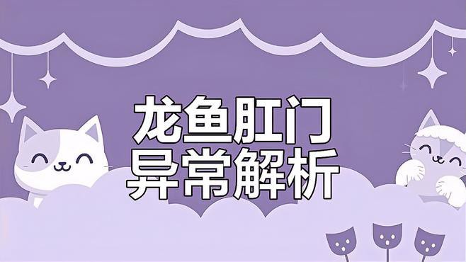 如何判斷龍魚肛門鼓起是否嚴重？，如何判斷龍魚肛門鼓起的嚴重程度 如何判斷龍魚肛門鼓起是否嚴重？，如何判斷龍魚肛門鼓起的嚴重程度 龍魚百科 第2張