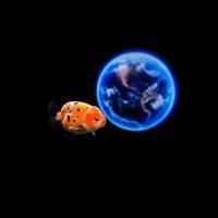 魚缸的細(xì)菌會(huì)傳染給人嗎，《魚缸的細(xì)菌會(huì)傳染給人嗎》魚缸的細(xì)菌會(huì)傳染給人嗎