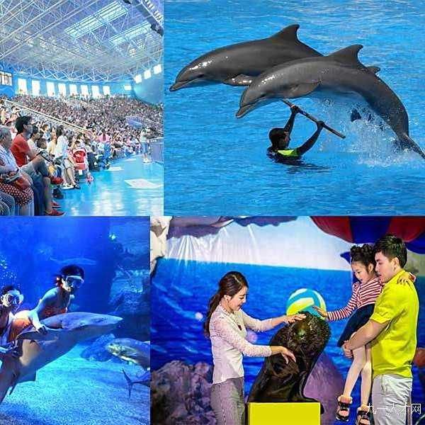 贛州水族館,贛州極地海洋世界 全國水族館企業名錄 第1張 贛州水族館,贛州極地海洋世界 贛州水族館,贛州極地海洋世界 全國水族館企業名錄 第1張