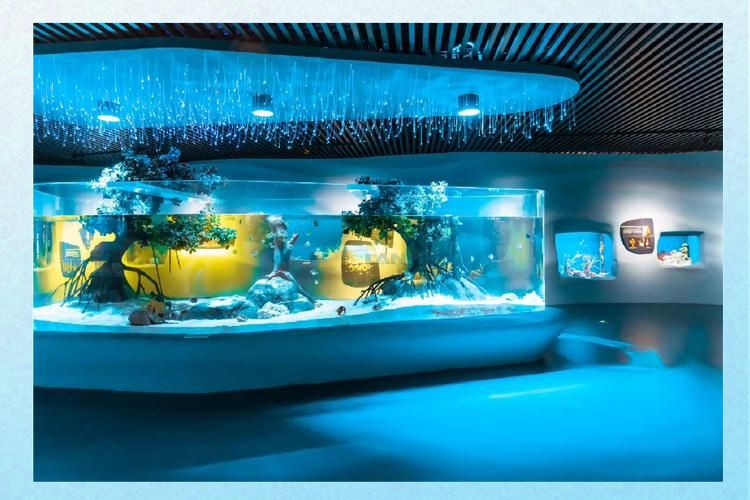 杭州水族館，杭州水族館游記