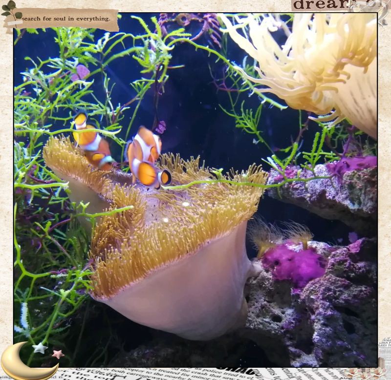 杭州水族館，杭州水族館游記