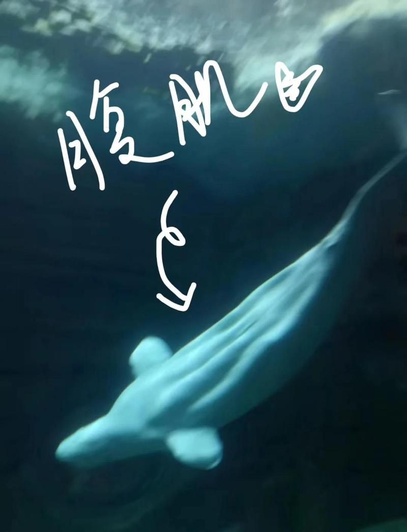 杭州水族館，杭州水族館游記