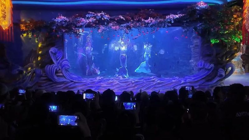 金昌水族館，探秘金昌海洋生物與海洋生物共生的美好愿景 金昌水族館，探秘金昌海洋生物與海洋生物共生的美好愿景 全國(guó)水族館企業(yè)名錄 第1張