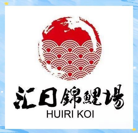 如何判斷龍魚是否得了松鱗病？，龍魚患松鱗病怎么辦