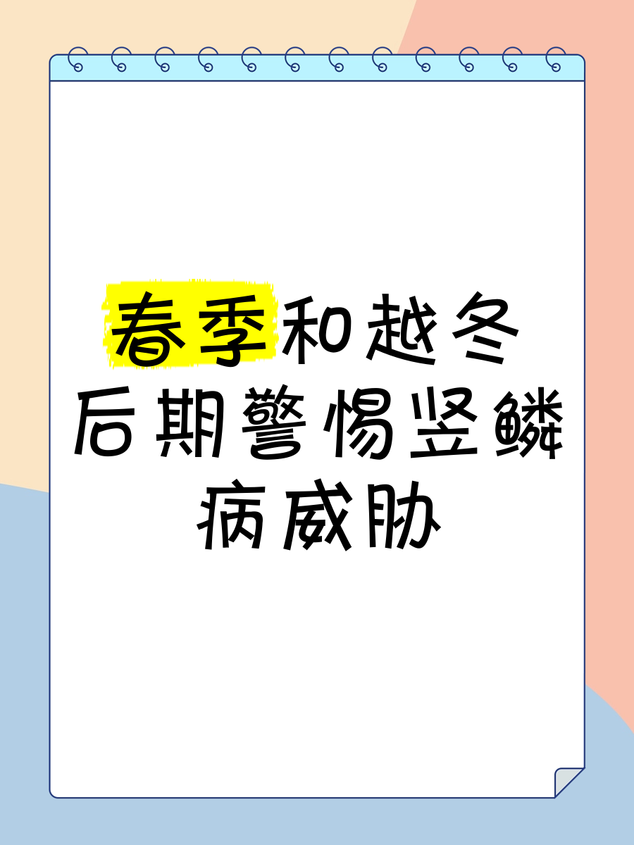 如何判斷龍魚是否得了松鱗病？，龍魚患松鱗病怎么辦