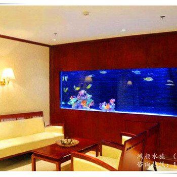 淮安魚缸批發市場，淮安魚缸批發市場發展趨勢分析