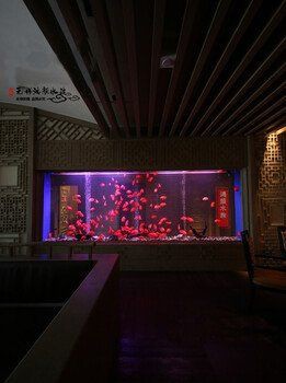 淮安魚缸批發市場，淮安魚缸批發市場發展趨勢分析