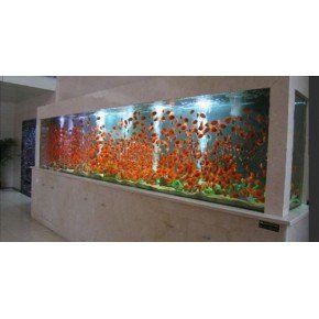 昆明水族店，昆明尚美生態(tài)魚缸水族店 昆明水族店，昆明尚美生態(tài)魚缸水族店 全國(guó)水族館企業(yè)名錄 第1張