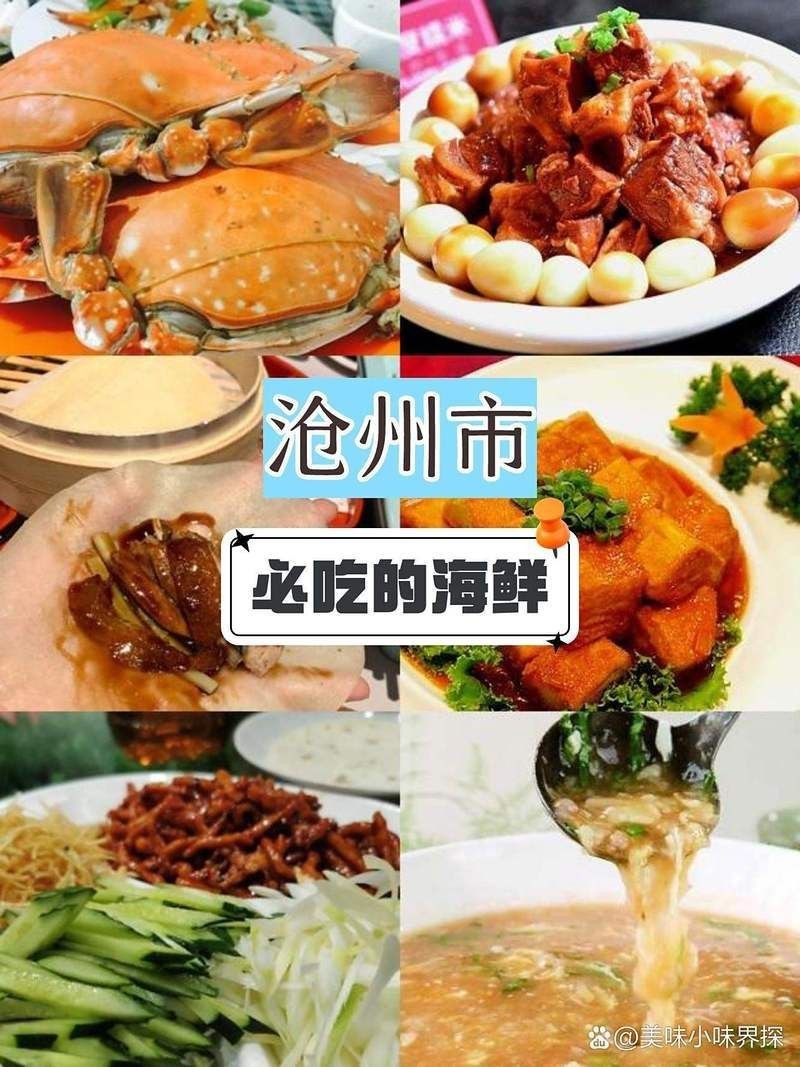 滄州龍魚店，滄州哪家龍魚好 滄州龍魚店，滄州哪家龍魚好 全國水族館企業(yè)名錄 第8張
