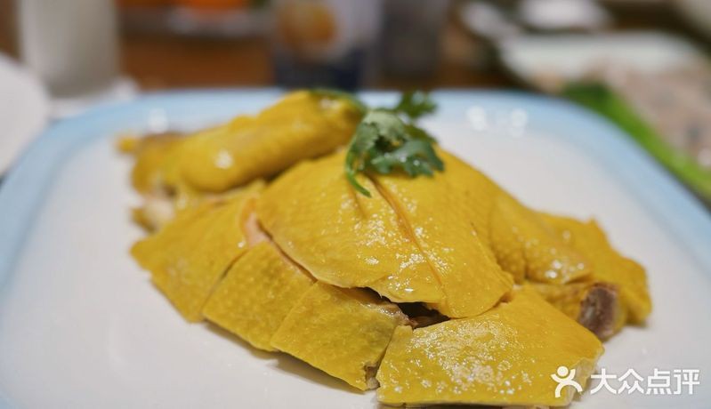滄州龍魚店，滄州哪家龍魚好 滄州龍魚店，滄州哪家龍魚好 全國水族館企業(yè)名錄 第12張