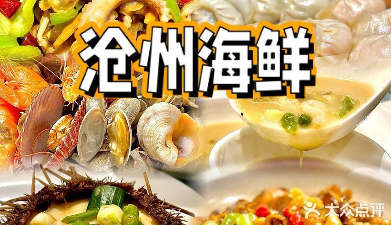 滄州龍魚店，滄州哪家龍魚好 滄州龍魚店，滄州哪家龍魚好 全國水族館企業(yè)名錄 第10張