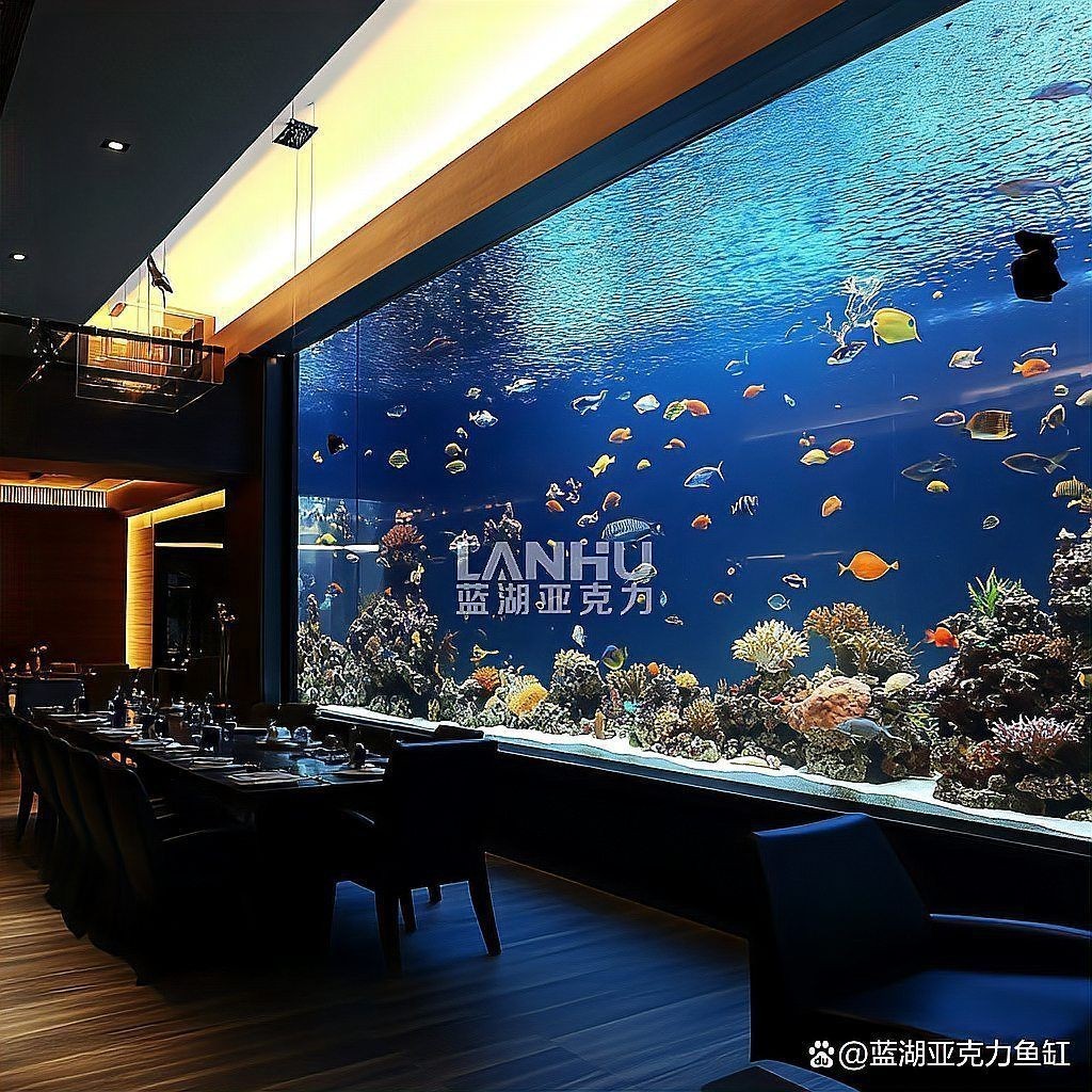 陽江魚缸維護，陽江魚缸維護全攻略 陽江魚缸維護，陽江魚缸維護全攻略 全國水族館企業(yè)名錄 第8張