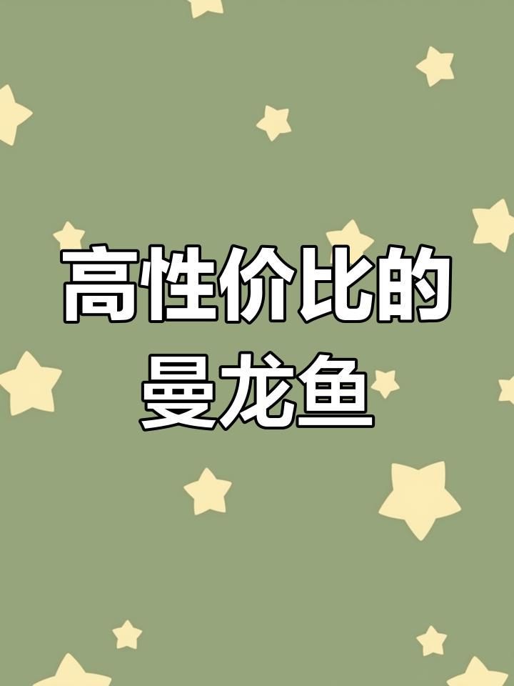 曼龍魚好養(yǎng)嗎，曼龍魚是一種相對(duì)容易飼養(yǎng)的小型觀賞魚