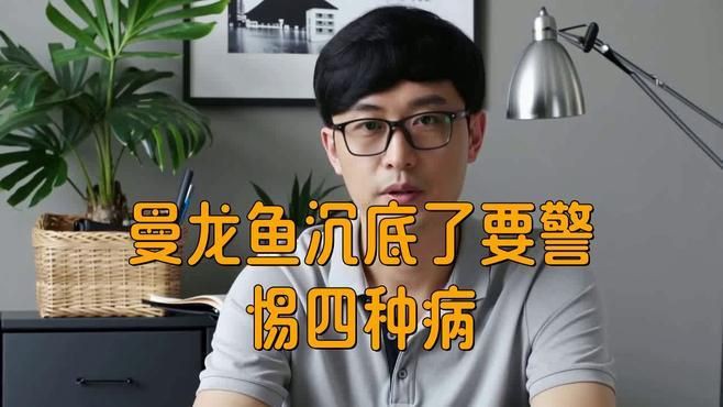曼龍魚好養(yǎng)嗎，曼龍魚是一種相對(duì)容易飼養(yǎng)的小型觀賞魚