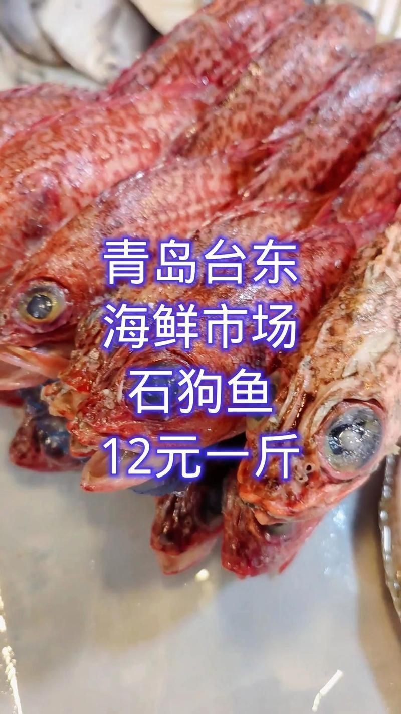 狗魚多少錢一斤，狗魚價格多少一斤