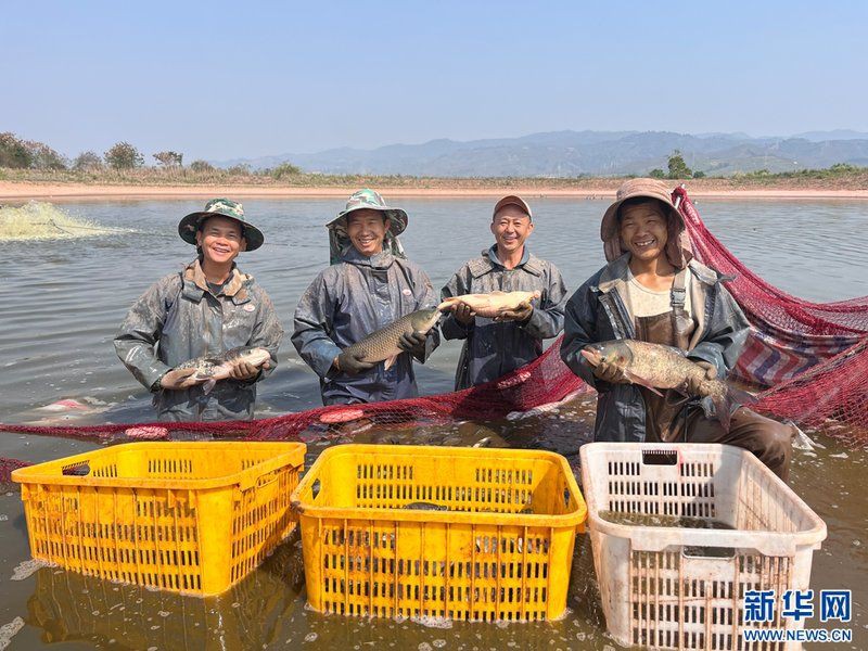 西雙版納傣族自治州魚缸批發市場，拼多多“千億扶持”加速激活西雙版納傣族自治州魚缸批發市場 西雙版納傣族自治州魚缸批發市場，拼多多“千億扶持”加速激活西雙版納傣族自治州魚缸批發市場 全國水族館企業名錄 第3張
