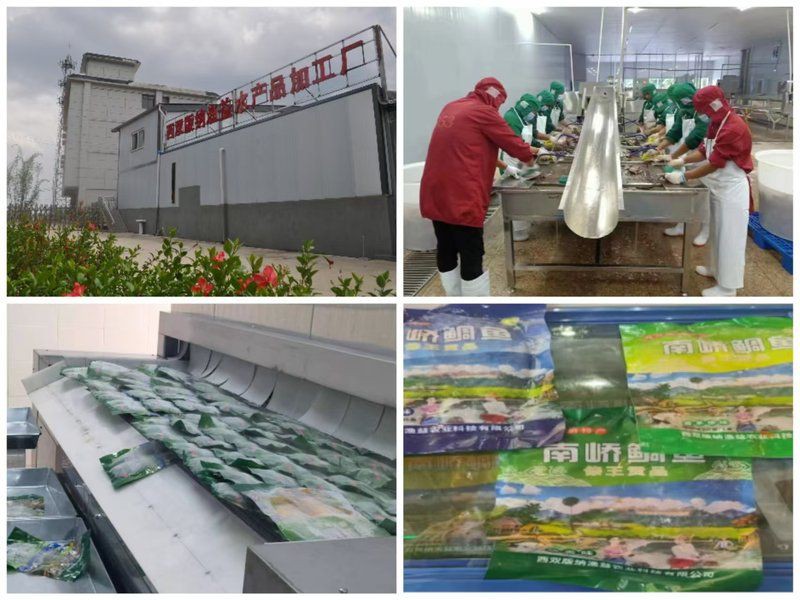 西雙版納傣族自治州魚缸批發市場，拼多多“千億扶持”加速激活西雙版納傣族自治州魚缸批發市場 西雙版納傣族自治州魚缸批發市場，拼多多“千億扶持”加速激活西雙版納傣族自治州魚缸批發市場 全國水族館企業名錄 第1張