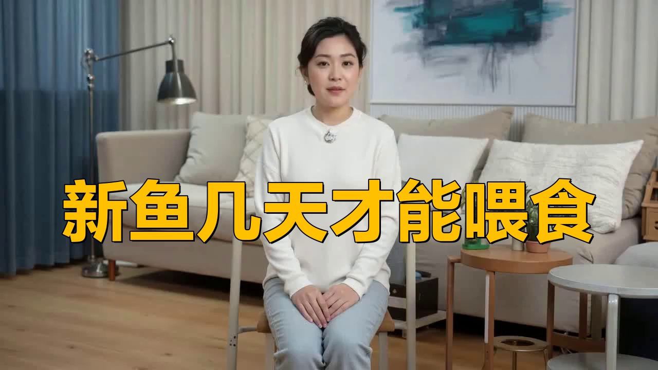 新魚和老魚合缸后多久可以喂食？，新魚和老魚合缸后多久可以喂食