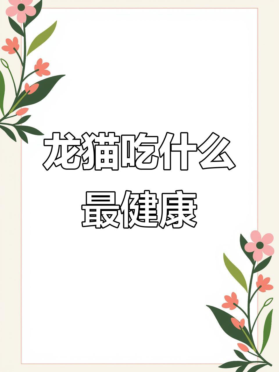 如何科學地飼養龍貓？，《如何科學地飼養龍貓》 如何科學地飼養龍貓？，《如何科學地飼養龍貓》 龍魚論壇 第2張