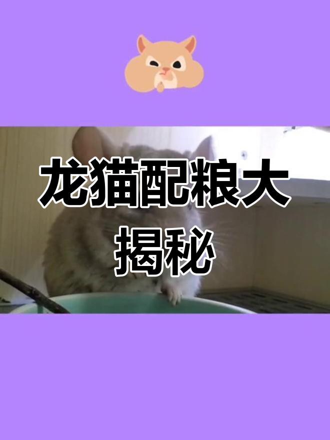 如何科學地飼養龍貓？，《如何科學地飼養龍貓》 如何科學地飼養龍貓？，《如何科學地飼養龍貓》 龍魚論壇 第3張