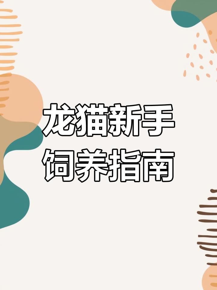 如何科學地飼養龍貓？，《如何科學地飼養龍貓》 如何科學地飼養龍貓？，《如何科學地飼養龍貓》 龍魚論壇 第8張