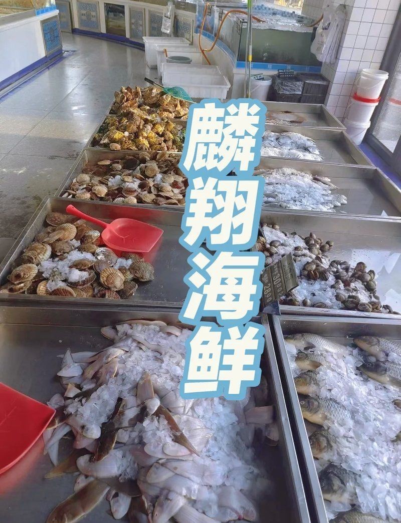 朝陽龍魚店，北京朝陽龍魚服務（跨區域參考）:美味與實惠兼備 朝陽龍魚店，北京朝陽龍魚服務（跨區域參考）:美味與實惠兼備 全國水族館企業名錄 第4張