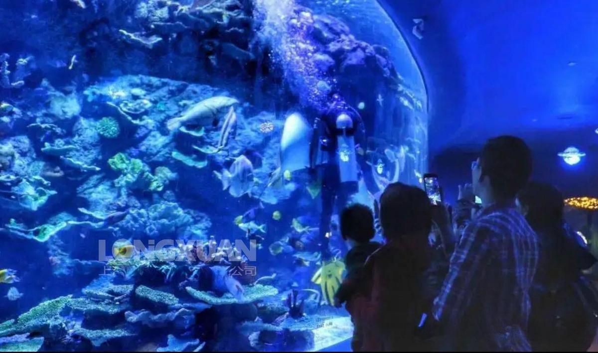 達(dá)州魚缸維護(hù)，達(dá)州地區(qū)魚缸維護(hù)服務(wù) 達(dá)州魚缸維護(hù)，達(dá)州地區(qū)魚缸維護(hù)服務(wù) 全國水族館企業(yè)名錄 第7張