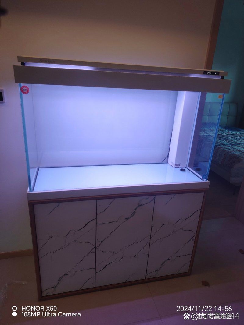 沈陽(yáng)魚缸維護(hù)，沈陽(yáng)魚缸專業(yè)維護(hù)全攻略