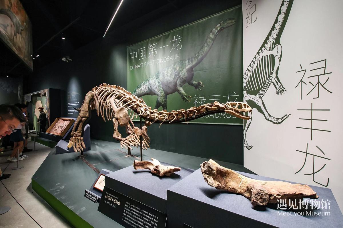 帝龍化石在哪里可以參觀？，去北京特展參觀帝龍化石需要預(yù)約嗎？